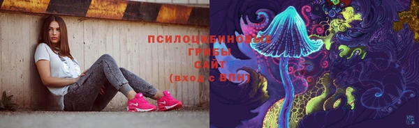 крисы Заводоуковск