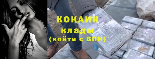 ГАЛЛЮЦИНОГЕННЫЕ ГРИБЫ Заволжье