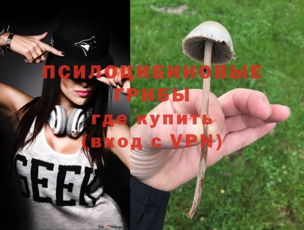 ГАЛЛЮЦИНОГЕННЫЕ ГРИБЫ Заволжье