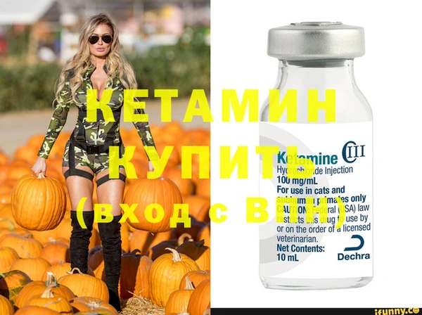 крисы Елабуга