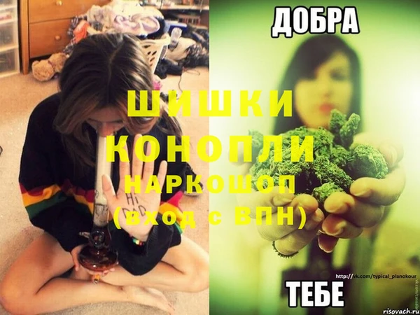 крисы Заводоуковск