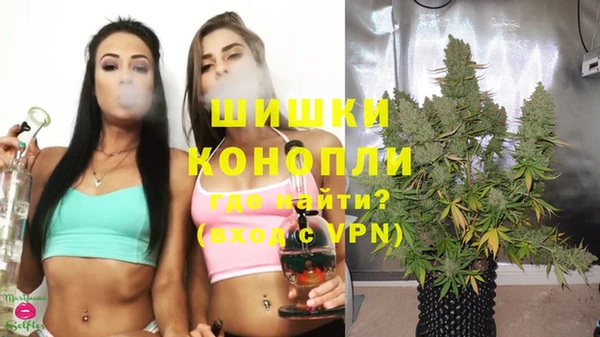 крисы Заводоуковск