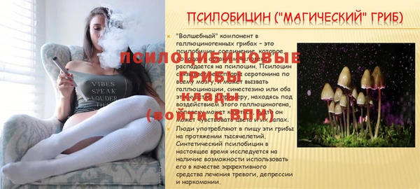 гашик Заволжск