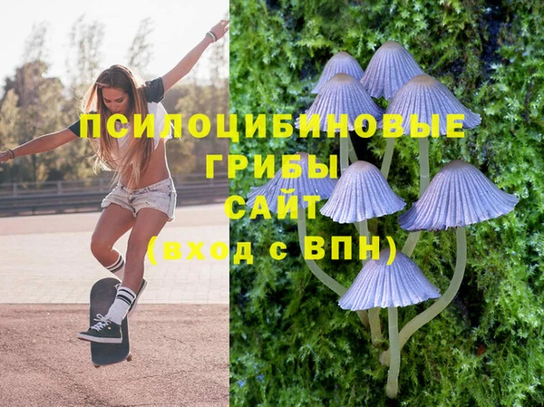 гашик Заволжск