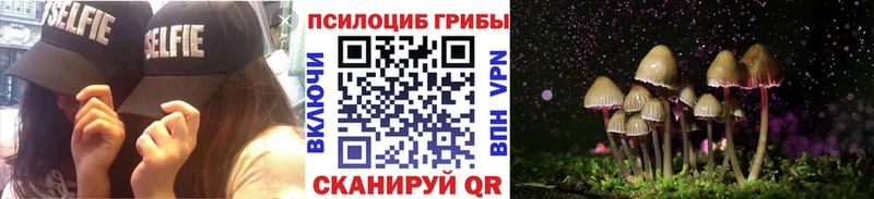 Галлюциногенные грибы Cubensis Бугуруслан